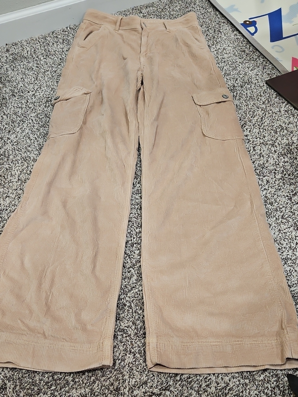 American Eagle Outfitters Tan Corduroy Cargo Pants Size 4 Long